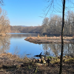 23-02-13 14-33-36 4228